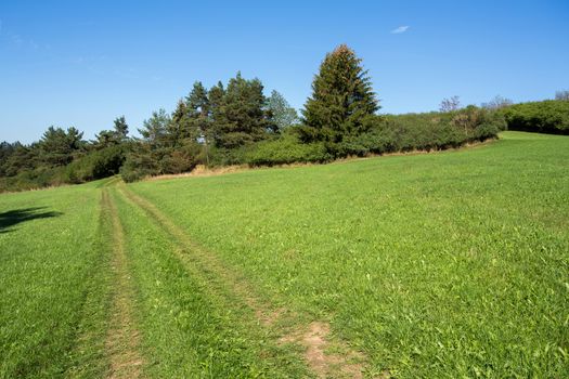 rural summer landscape in czech Republic - region Vysocina