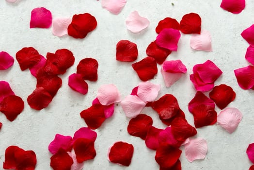red and pink imitation rose petals on concrete floor for marriage proposal