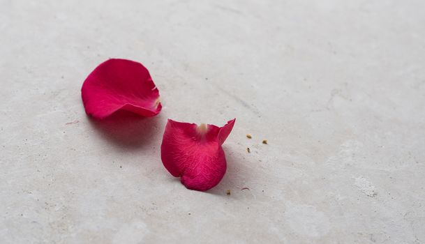 two rose petals on concrete floor for marriage proposal