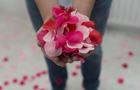 female hand full of res imitation rose petals 