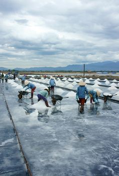 KHANH HOA, VIET NAM- AUG 25: Group of Asia worker working on salt marsh, crowded rake salt in heap and transfer by wheel barrow, Vietnamese people work in cloudy day, Khanhhoa, Vietnam, Aug 25, 2015