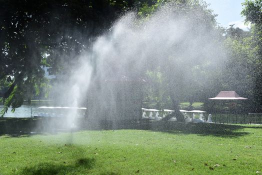 closed up the sprinkler waters grass in park