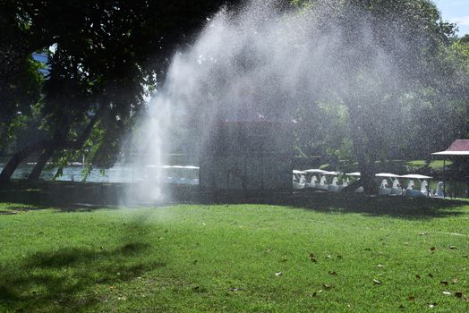 closed up the sprinkler waters grass in park