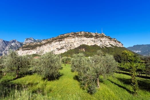 Olive groves and mountains in Torbole near Lago di Garda (Garda Lake) in Sarca valley. Trentino Alto Adige, Italy, Europe