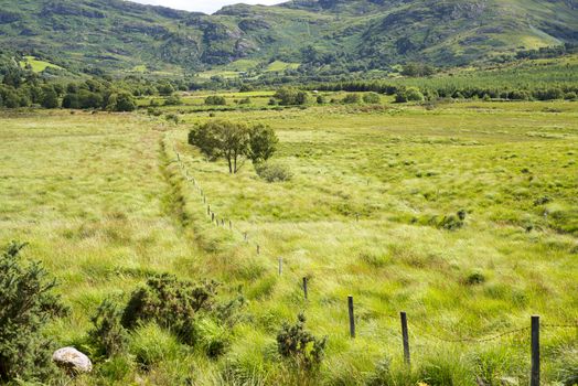 view from a beautiful hiking route the kerry way in ireland of fence leading to rocky mountains