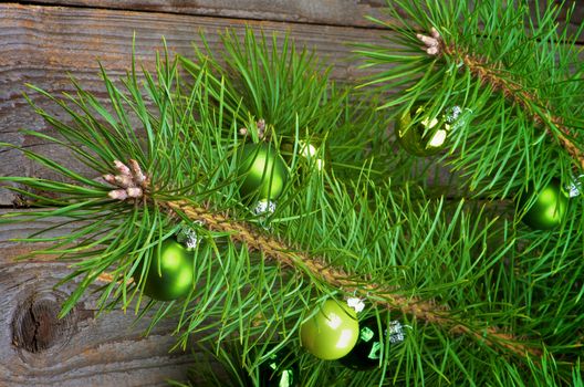 Christmas Decoration with Fluffy Green Pine Branches and Small Green Baubles into Long Needles closeup on Rustic Wooden background