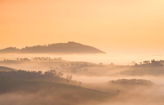 Fog covered mountains and forest in the morning. Northern Thailand is cold and cool in the morning.