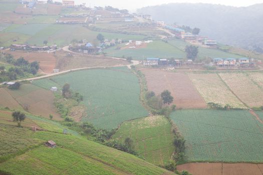 Agricultural lands in the mountains Villagers cultivated crops on the mountain in general.