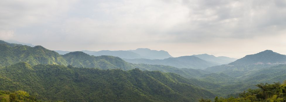 panorama forest and mountain.Mountains and trees in the wild long range.