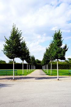 green trees in the park vertical