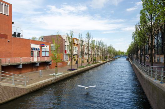 Beautiful scene of Almere, Flevoland, the newest city in the Netherlands