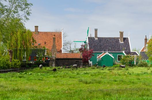 Traditional houses in Zaanse Schans, The Netherlands.