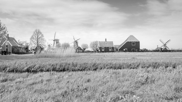 Windmills and rural houses in Zaanse Schans, The Netherlands. (Black and White)