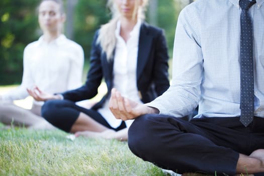 business people doing yoga at the park