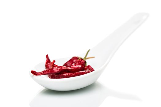 Chili (Capsicum) spice on a white porcelain spoon