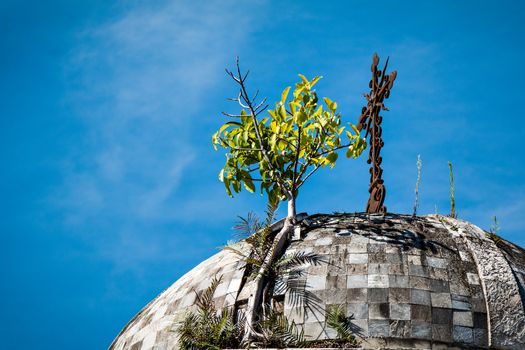 Historic cemetery Recoleta, Buenos Aires Argentine