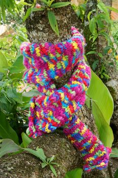 Colorful wollen scarf on green tree trunk on winter day, a sudden gift, beautiful knitted handmade make warm in cold day