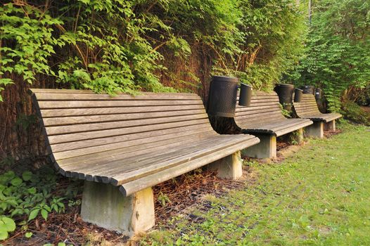 Empty bench in the park.