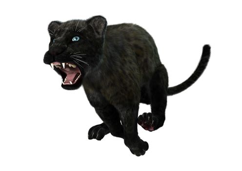 3D digital render of a big cat black panther isolated on white background