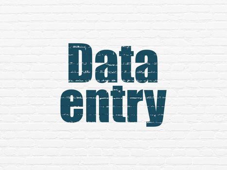 Data concept: Painted blue text Data Entry on White Brick wall background
