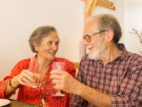 Old couple toasting and looking happy at a restaurant