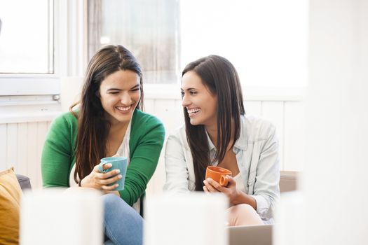 Female friends studying at the local coffee shop