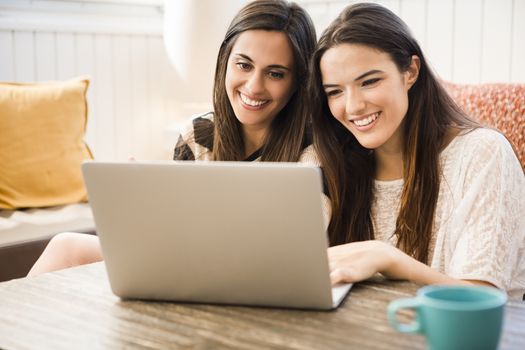 Female friends studying at the local coffee shop