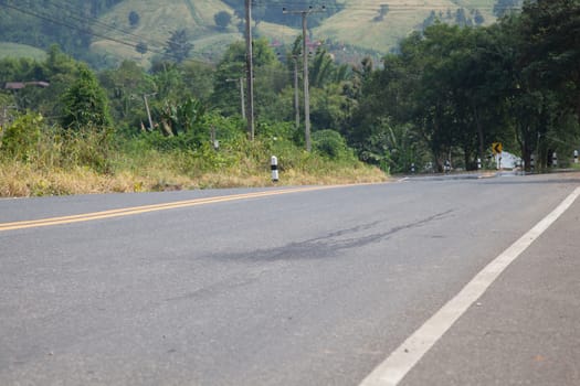 The road on the mountains. The road cuts through the mountains. The trees along the road