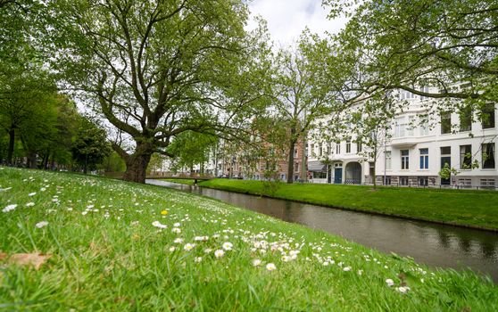 Westersingel Street near Museumpark in Rotterdam, The Netherlands