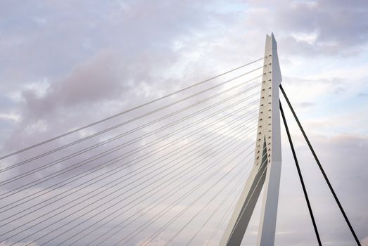 Close up of Erasmus Bridge in Rotterdam, Netherlands