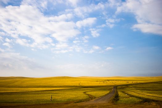 Inner mongolia grassland with blue sky in autumn.