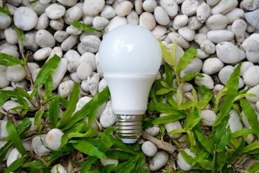 LED bulb - Energy and green nature