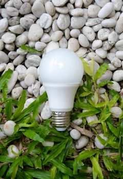 LED bulb - Energy and green nature