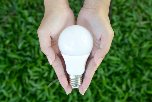 LED bulb - energy lighting in our control