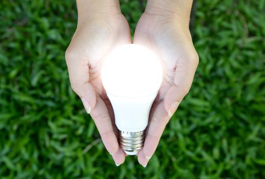 LED bulb - Lighting in our hand