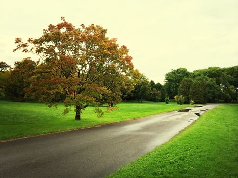 Rainy day in early autumn. Quebec, Canada.