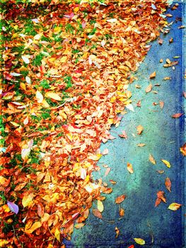 Colorful autumn leaves background. Canvas texture.