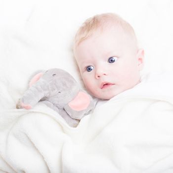 Cute blonde little baby boy with blue eyes with his favorite plush teddy bear and elephant.