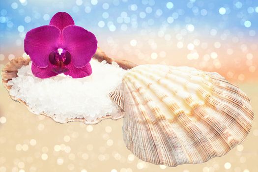 Orchid and seashell with sea salt on a sparkling bokeh sandy beach