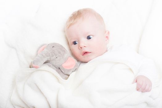 Cute blonde little baby boy with blue eyes with his favorite plush teddy bear and elephant.