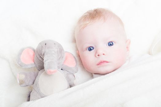 Cute blonde little baby boy with blue eyes with his favorite plush teddy bear and elephant.