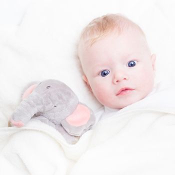 Cute blonde little baby boy with blue eyes with his favorite plush teddy bear and elephant.