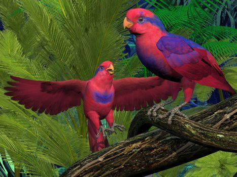 The Red and Blue Lory parrot is an endangered parrot and lives in Indonesia.