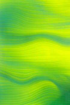 background abstract green leaves