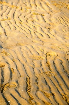 Sand background