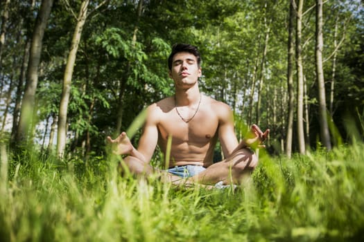 Handsome Shirtless Young Man During Meditation or Doing an Outdoor Yoga Exercise Sitting Cross Legged on Grassy Ground Alone in Woods