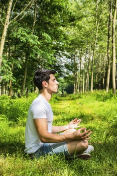 Handsome Young Man During Meditation or Doing an Outdoor Yoga Exercise Sitting Cross Legged on Grassy Ground Alone in Woods