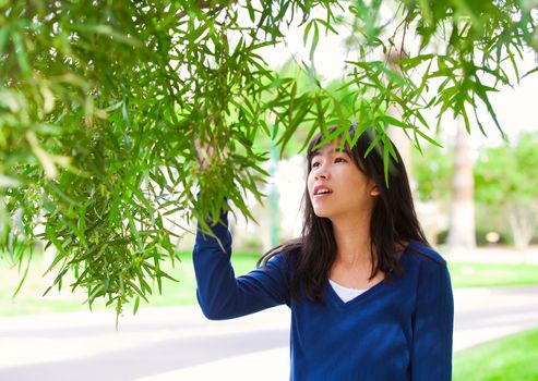 Young teen biracial girl reaching up to touch leaves on tree