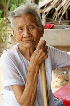 BEN TRE, VIET NAM- JUNE 2: Asian old woman with stick walking at Vietnamese countryside, senior very healthy walking on path, female usually have long living, Bentre, Vietnam, June 2, 2015