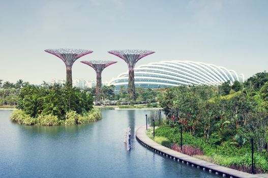 Elevated view of the `Garden by the Bay` in this view the Supertree Grove and the Cloud Forest building visible.